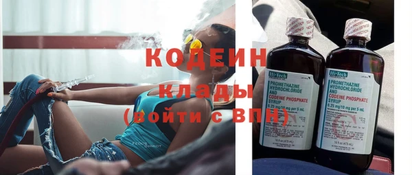 ГАЛЛЮЦИНОГЕННЫЕ ГРИБЫ Пересвет