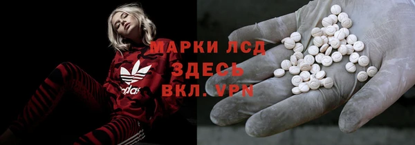 амф Пестово