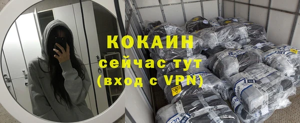 ГАЛЛЮЦИНОГЕННЫЕ ГРИБЫ Пересвет